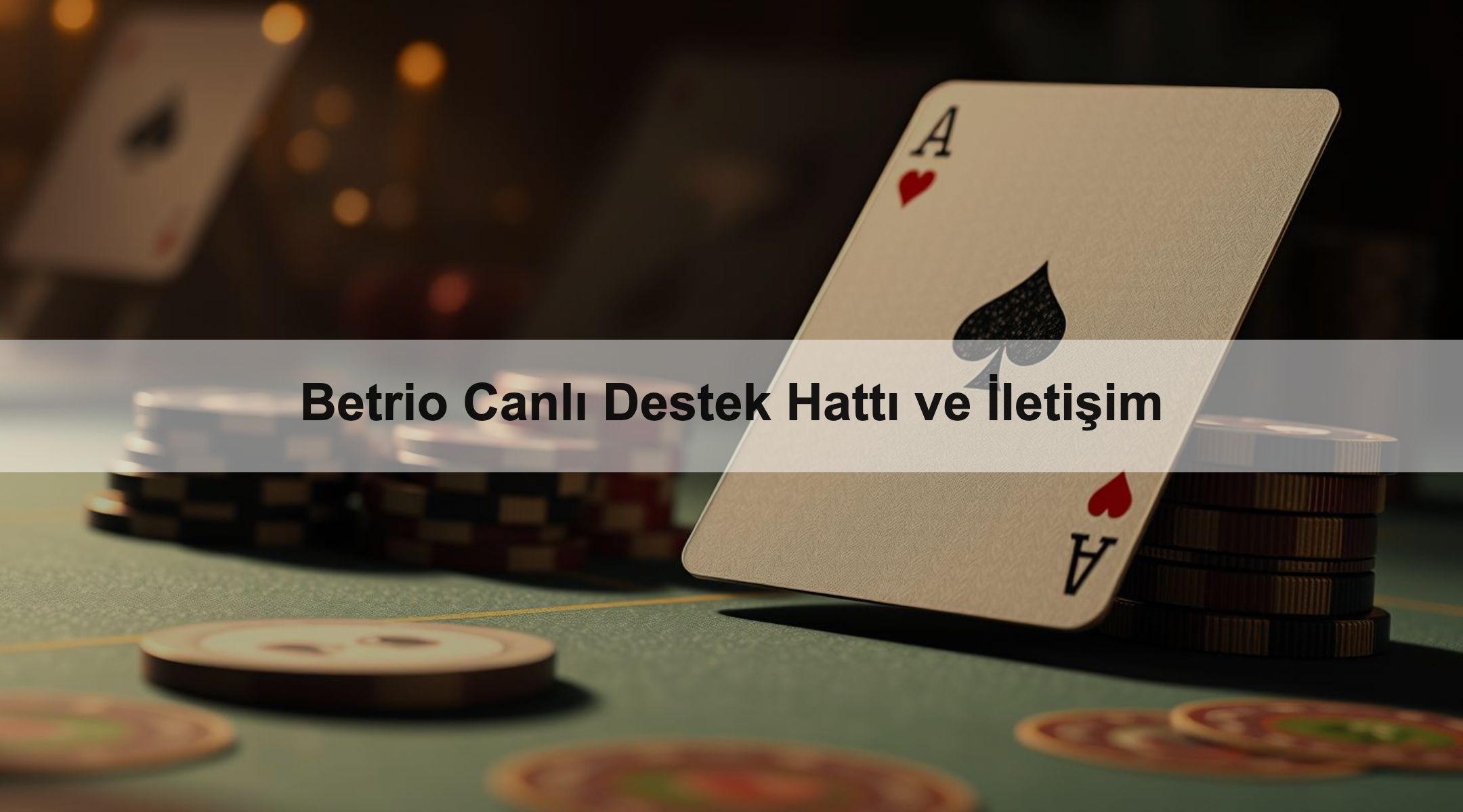 Betrio Canlı Destek Hattı ve İletişim